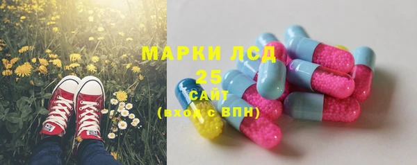 прущие грибы Красноперекопск