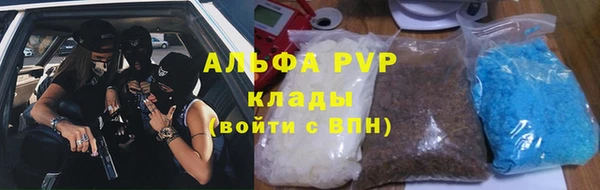 прущие грибы Красноперекопск