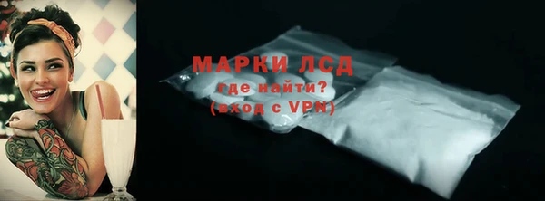 стафф Новодвинск