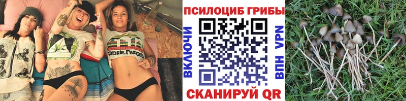 Галлюциногенные грибы MAGIC MUSHROOMS  даркнет клад  Эртиль 
